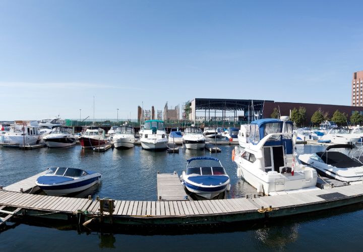 boats in a harbor